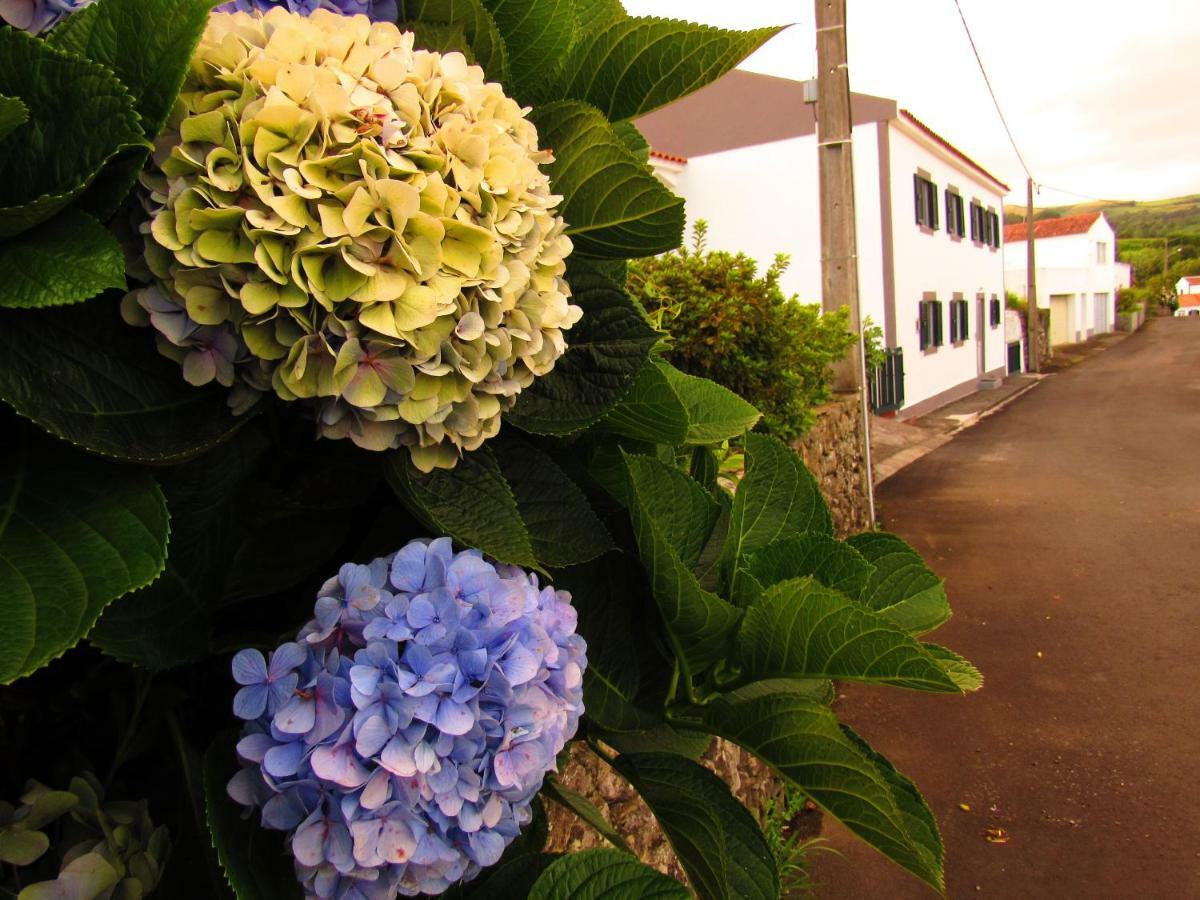 Appartement Casa L&M à Lajes das Flores Extérieur photo